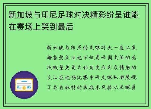 新加坡与印尼足球对决精彩纷呈谁能在赛场上笑到最后